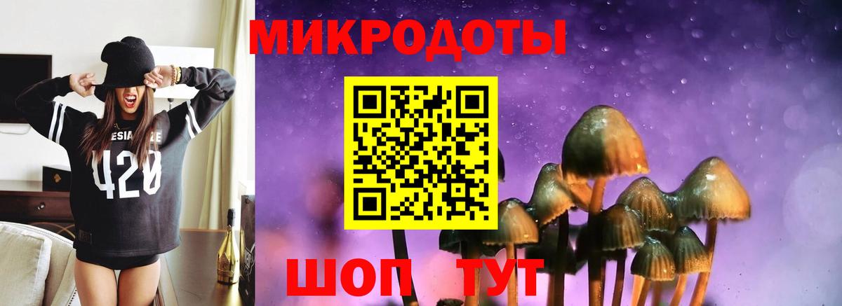 Галлюциногенные грибы прущие грибы Северодвинск